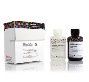SuperSignal™ West Pico PLUS Chemiluminescent Substrate