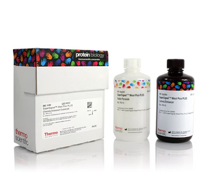 SuperSignal™ West Pico PLUS Chemiluminescent Substrate