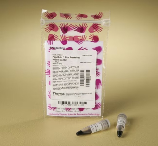 [26619] Thermo Scientific™ PageRuler™ Plus Prestained Protein Ladder, 10 to 250 kDa (2 x 250 µL)