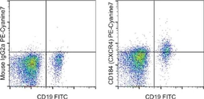 Thermo Scientific™ Invitrogen™ eBioscience™ CD184 (CXCR4) Monoclonal Antibody (12G5), PE-Cyanine7