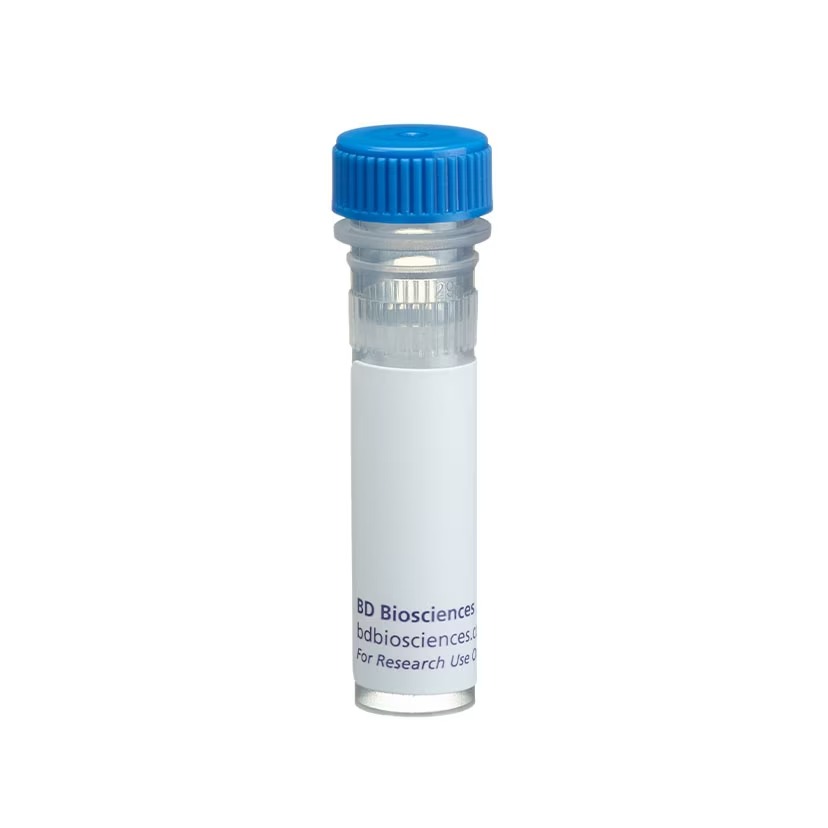 BD Pharmingen™ Human BD Fc Block™, 50 µg