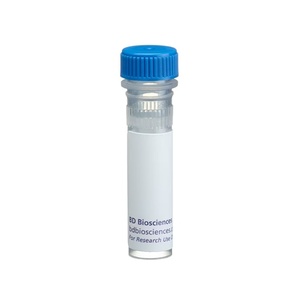 BD Pharmingen™ Human BD Fc Block™, 50 µg