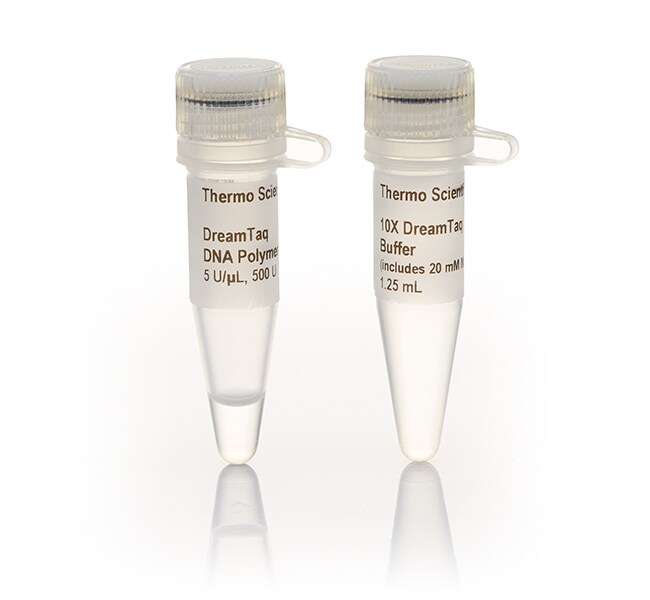 Thermo Scientific™ DreamTaq DNA Polymerase (5 U/μL) with 10X DreamTaq Buffer 