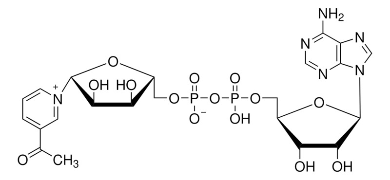Thermo Scientific™ 3-Acetylpyridine adenine dinucleotide 90%