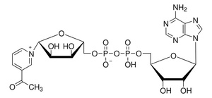 Thermo Scientific™ 3-Acetylpyridine adenine dinucleotide 90%