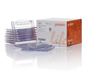 Invitrogen™ Bolt™ Bis-Tris Plus Mini Protein Gels, 4-12%, 1.0 mm, WedgeWell™ format