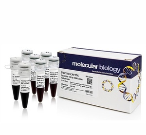 GeneRuler™ 100 bp DNA Ladder, ready-to-use  6X TriTrack DNA Loading Dye