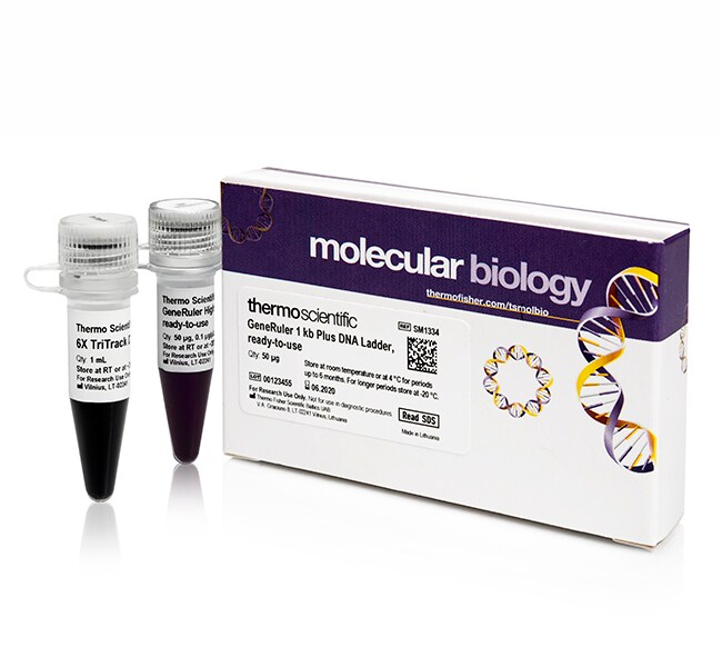 GeneRuler™ 1 kb Plus DNA Ladder, ready-to-use with 6X TriTrack DNA Loading Dye