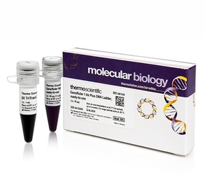 GeneRuler™ 1 kb Plus DNA Ladder, ready-to-use with 6X TriTrack DNA Loading Dye