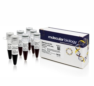 GeneRuler™ 1 kb Plus DNA Ladder, ready-to-use with 6X TriTrack DNA Loading Dye
