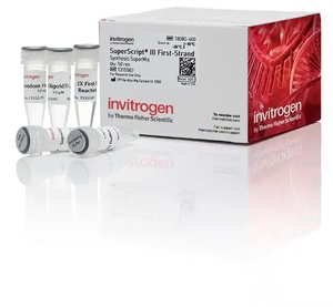Invitrogen™ SuperScript™ III First-Strand Synthesis SuperMix