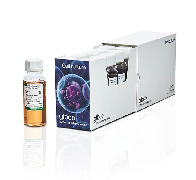 Thermo ScienGibco™ Fetal Bovine Serum, heat inactivated, certified, One Shot™, United States, 10 x 50 mL