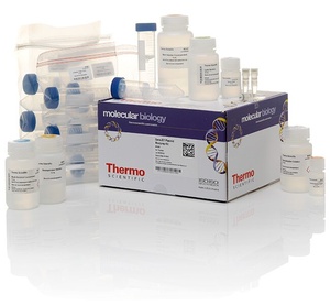 GeneJET™ Plasmid Maxiprep Kit