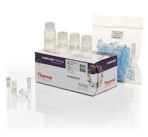 GeneJET™ Plasmid Midiprep Kit