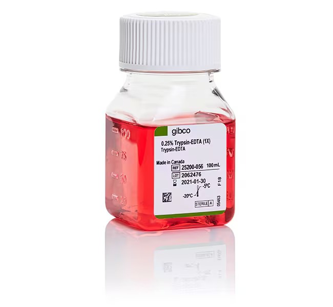 Gibco™ Trypsin-EDTA (0.25%), phenol red