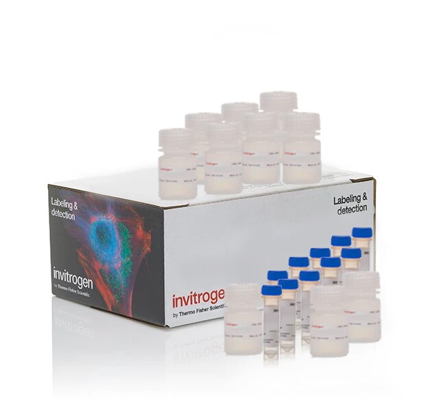 Invitrogen™ CyQUANT™ MTT Cell Viability Assay, for 1000 Assays