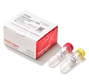 Invitrogen™ Lipofectamine™ 3000 Transfection Reagent