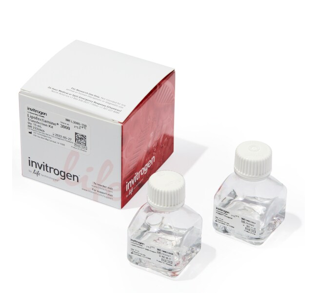 Invitrogen™ Lipofectamine™ 3000 Transfection Reagent