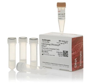 Invitrogen™ Subcloning Efficiency™ DH5α Competent Cells, 4 x 500 µL