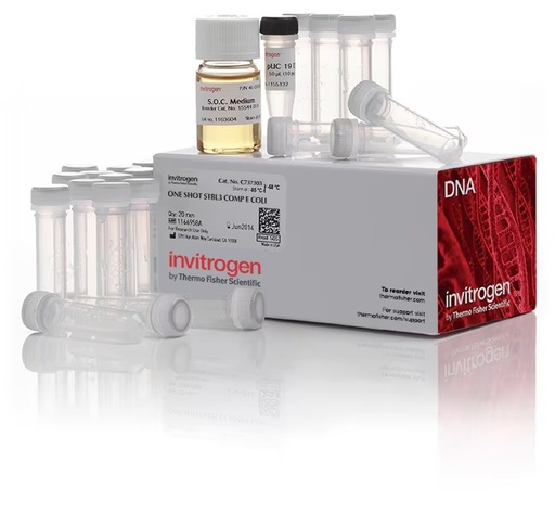 [C737303] Invitrogen™ One Shot™ Stbl3™ Chemically Competent E. coli, 21 x 50 µL/tube