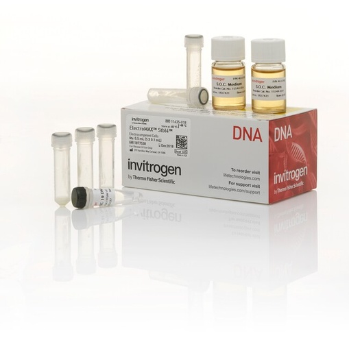 [11635018] Invitrogen™ ElectroMAX™ Stbl4™ Competent Cells, 5 x 100 µL