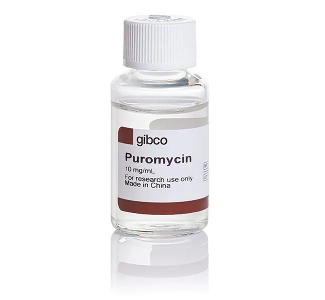 Gibco™ Puromycin Dihydrochloride