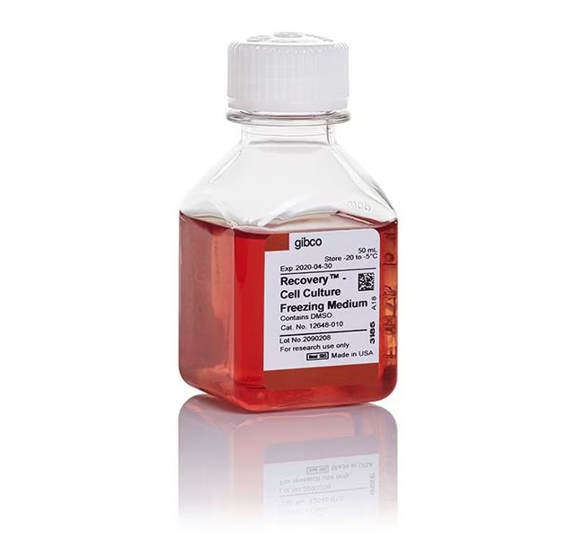 Gibco™ Recovery™ Cell Culture Freezing Medium, with High Glucose, Phenol Red, 10% DMSO