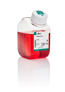 Gibco™ RPMI 1640 Medium, HEPES