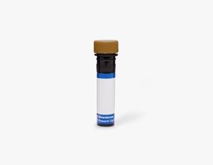 BD Pharmingen™ PE-Cy™7 Mouse Anti-Human CD8, 100 Tests