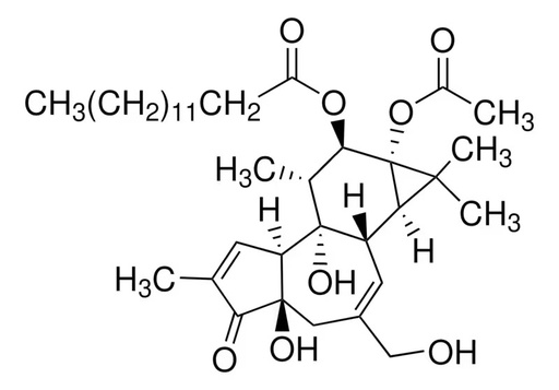 [HY-18739] MCE Phorbol 12-myristate 13-acetate,  99.07% (10 mM x 1 mL in DMSO)