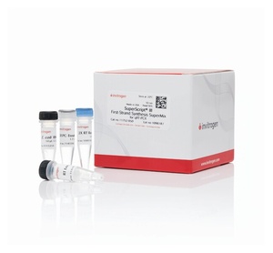 Invitrogen™ SuperScript™ III First-Strand Synthesis SuperMix for qRT-PCR