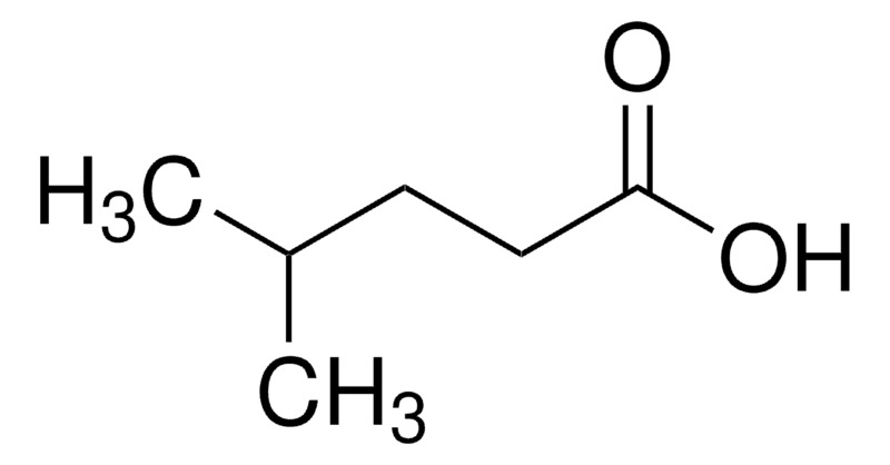 Thermo Scientific™ 4-Methylvaleric acid ≥99%