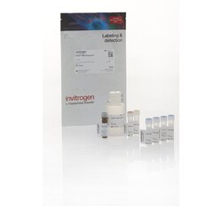 Invitrogen™ Qubit™ 4 System Verification Assay Kit, 50 assays