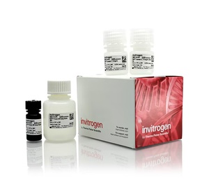 Invitrogen™ Qubit™ Protein Broad Range (BR) Assay Kits