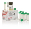 Thermo Scientific™ DH5α Competent Cells, 10 x 100 µL