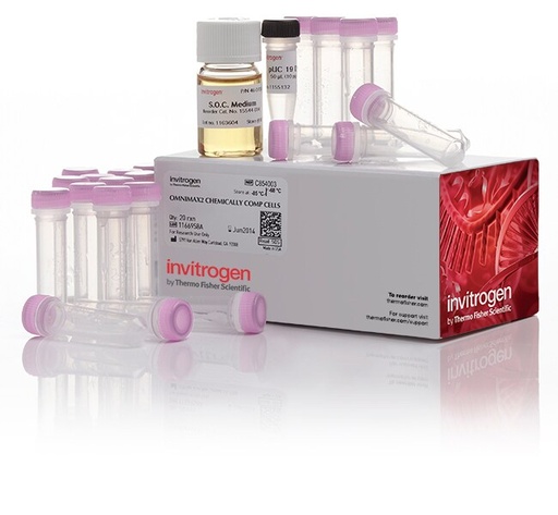 [C854003] Invitrogen™ One Shot™ OmniMAX™ 2 T1R Chemically Competent E. coli, 21 x 50 µL/tube
