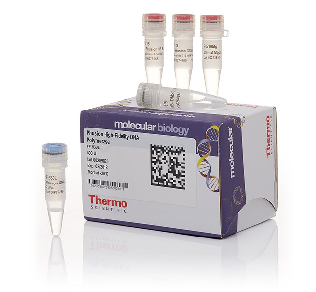 Thermo Scientific™ Phusion™ High-Fidelity DNA Polymerase (2 U/μL)