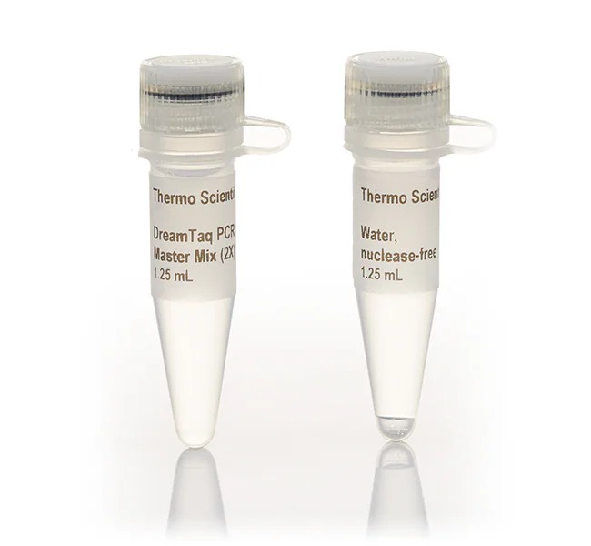 Thermo Scientific™ PCR Master Mix (2X)