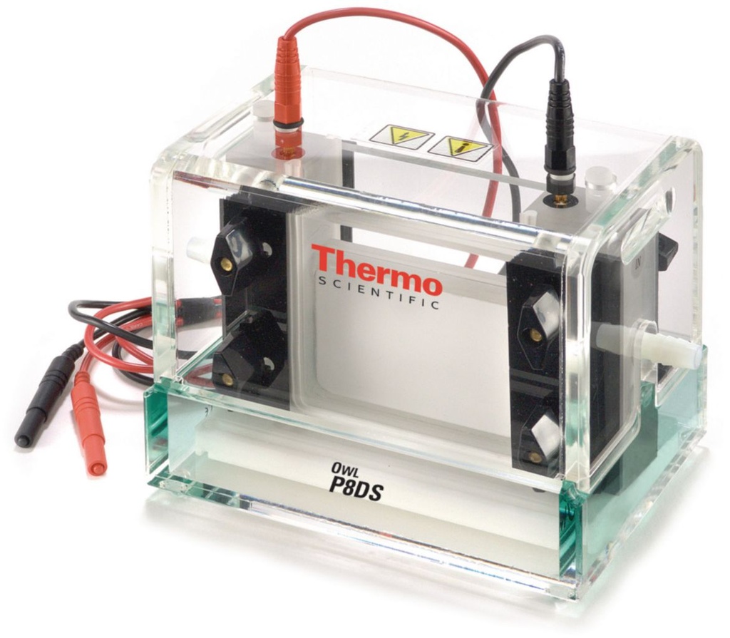 Thermo Scientific™ Owl™ Dual-Gel P8DS Vertical Complete Electrophoresis System