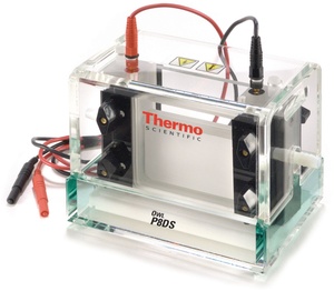 Owl™ Dual-Gel Vertical Complete Electrophoresis System plus Caster, P8DS