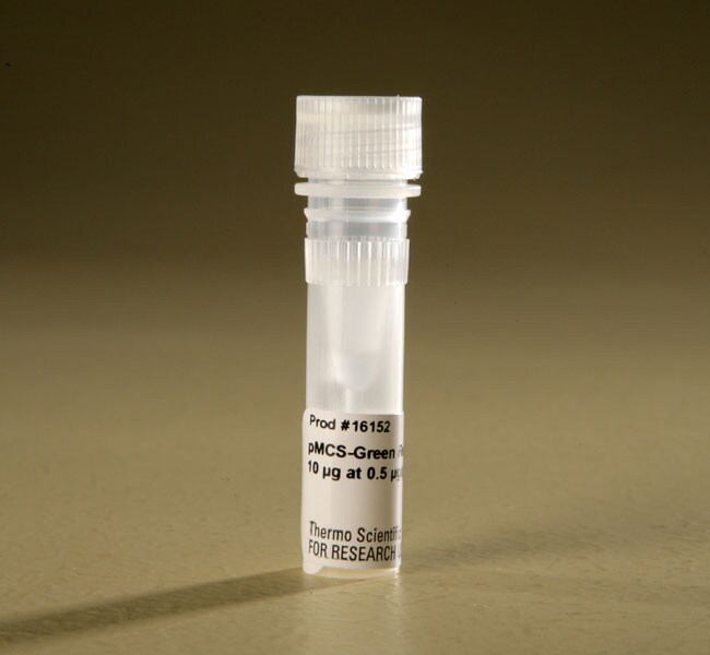 Pierce™ pMCS-Green Renilla Luc Vector for Luciferase Assays, 10 µg