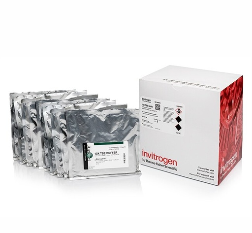 [AM9864] Invitrogen™ 10X TBE (powder), 10 x 1 L