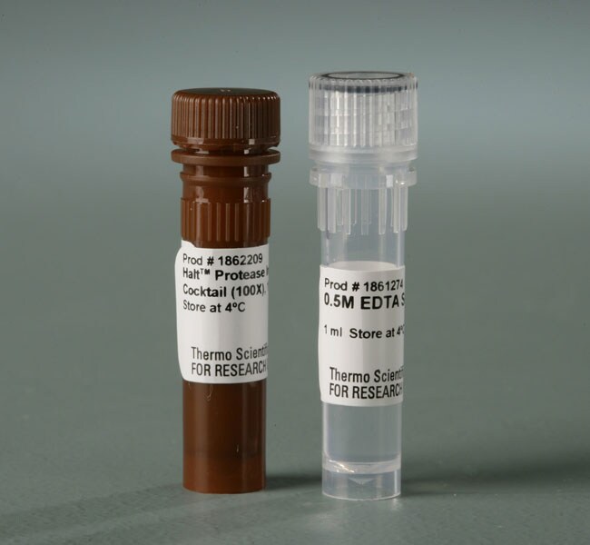 Thermo Scientific™ Halt™ Protease Inhibitor Cocktail (100X)