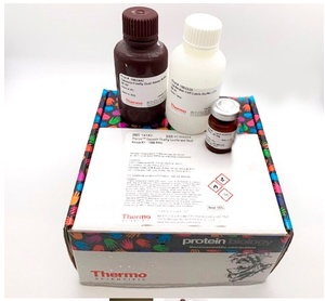 Thermo Scientific™ Pierce™ Firefly Luciferase Glow Assay Kit