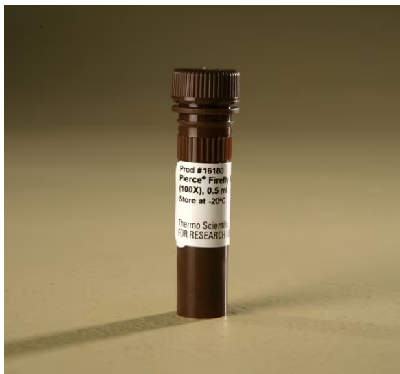 Thermo Scientific™ Pierce™ Firefly Signal Enhancer (100X), 0.5mL