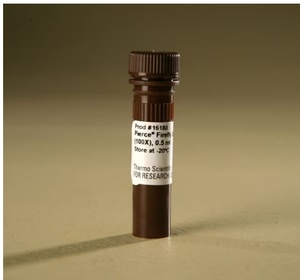 Thermo Scientific™ Pierce™ Firefly Signal Enhancer (100X), 0.5mL