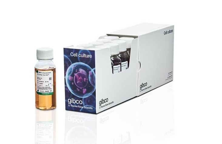 Gibco™ Fetal Bovine Serum, qualified, New Zealand