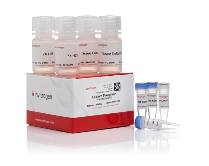 Invitrogen™ Calcium Phosphate Transfection Kit, 75 Rxn