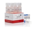 Invitrogen™ Calcium Phosphate Transfection Kit, 75 Rxn