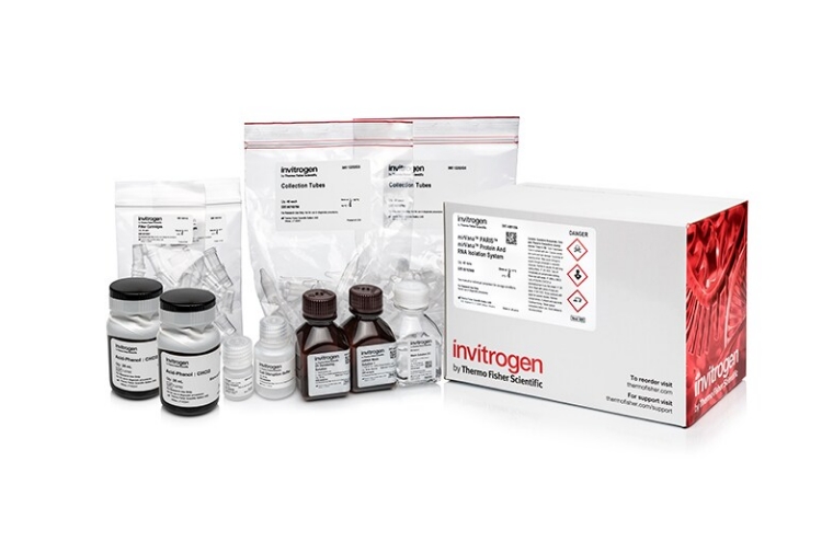 Invitrogen™ mirVana™ PARIS™ RNA and Native Protein Purification Kit, 40 preps